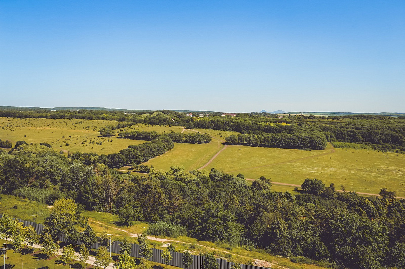 Джуниор сьют 1 комн