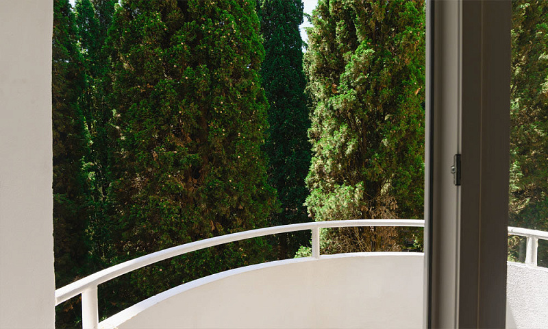 1-местный Стандарт