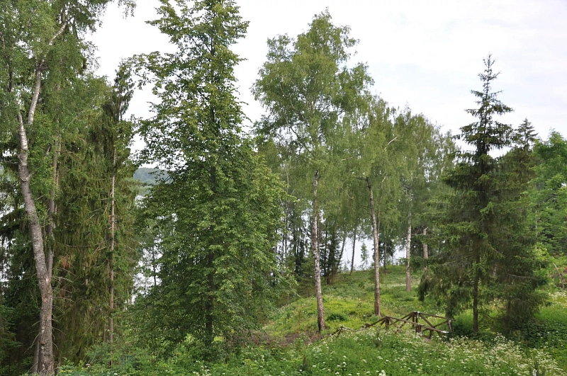 Комфорт 1-местный (окна на сторону Волги)