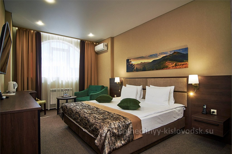 1-комнатный 2-местный улучшенный номер Делюкс/Premium