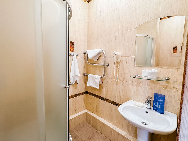 1-местный 1-комнатный