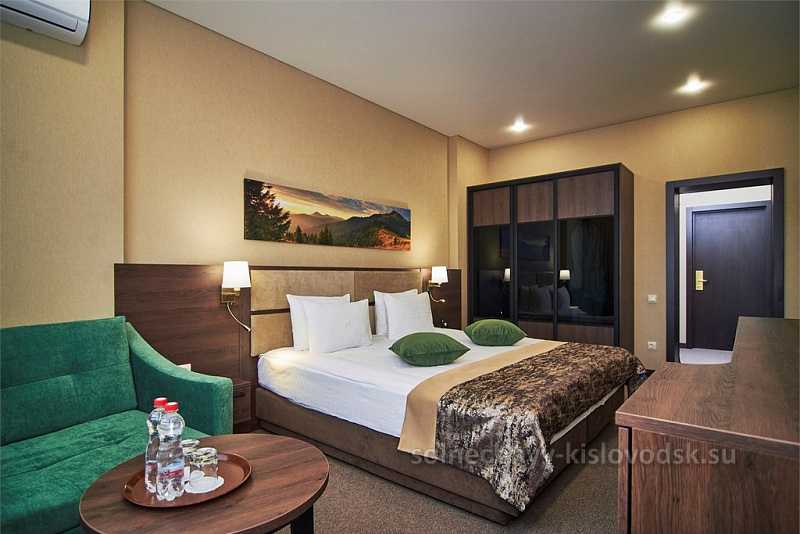 1-комнатный 2-местный улучшенный номер Делюкс/Premium