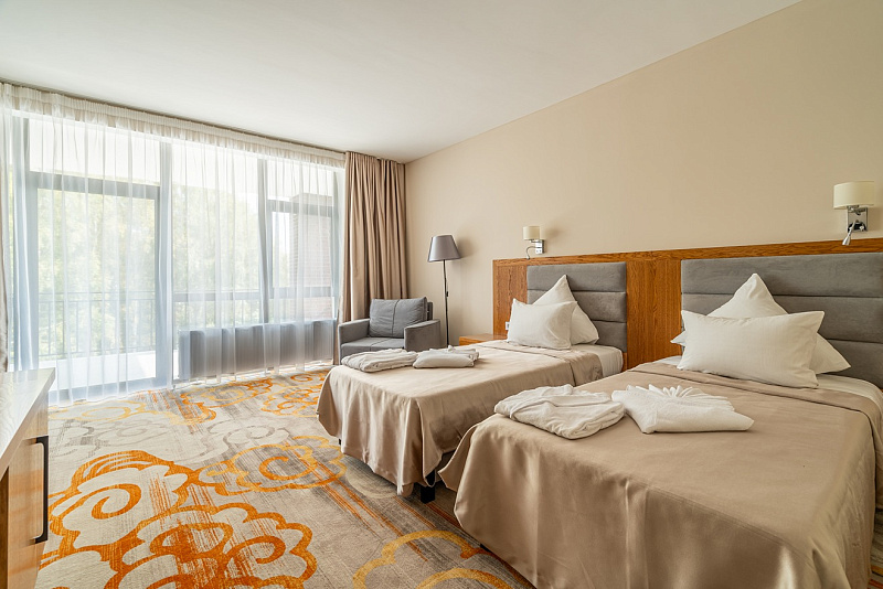 Делюкс с террасой 