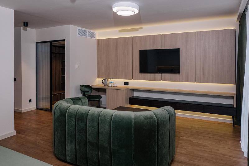 Двухместный однокомнатный номер "Джуниор сюит" Silver Gray