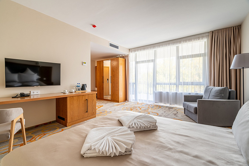 Делюкс с террасой 