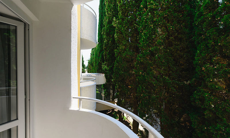 1-местный Стандарт