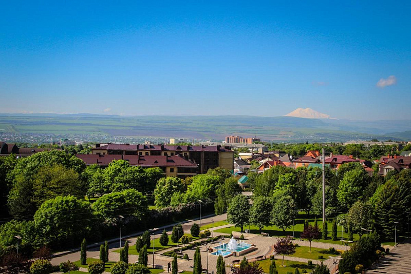 Стандарт, 1 комн