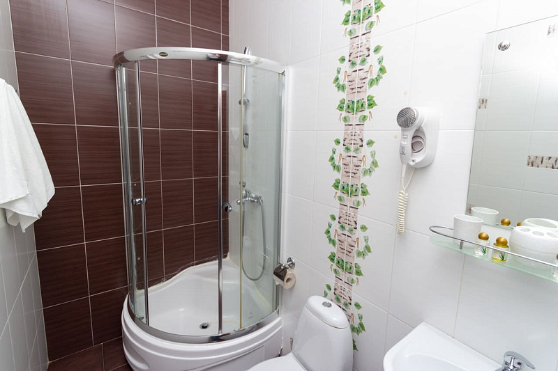 2-местный 2-комнатный полулюкс