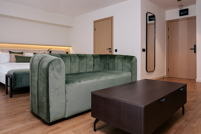 Двухместный однокомнатный номер "Джуниор сюит" Silver Gray