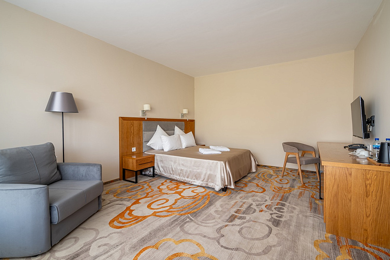 Делюкс с террасой 