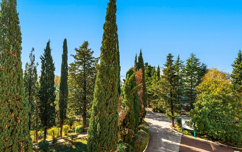 Стандарт Однокомнатный двухместный TWIN I категории